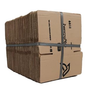 کارتن پستی سایز 1